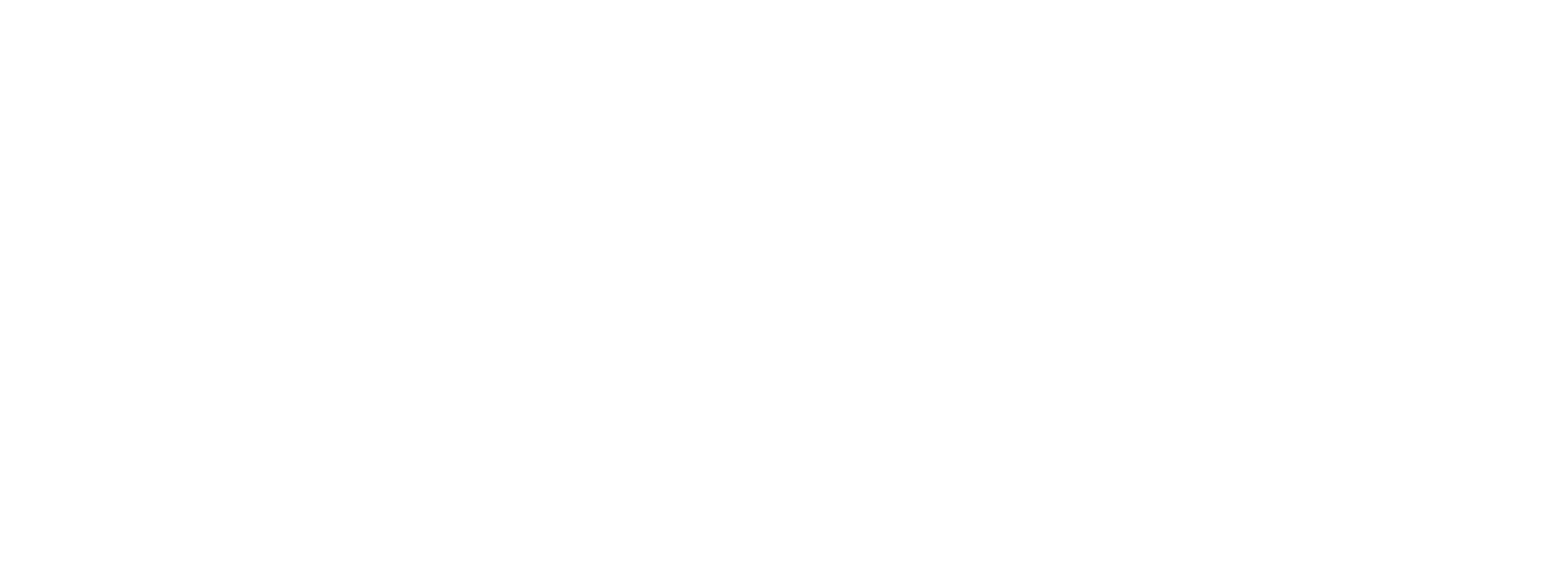 OLEXO GROUP LOGO WHITE