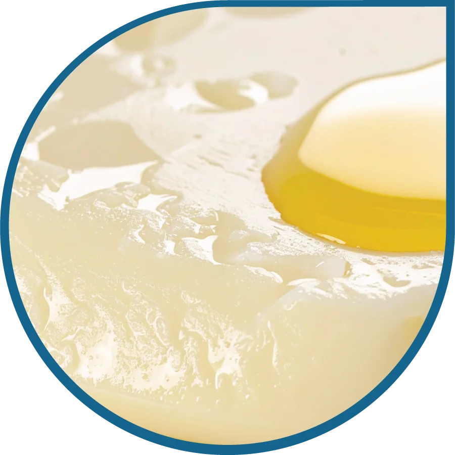 palm oil