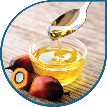 Malaysia Palm oil