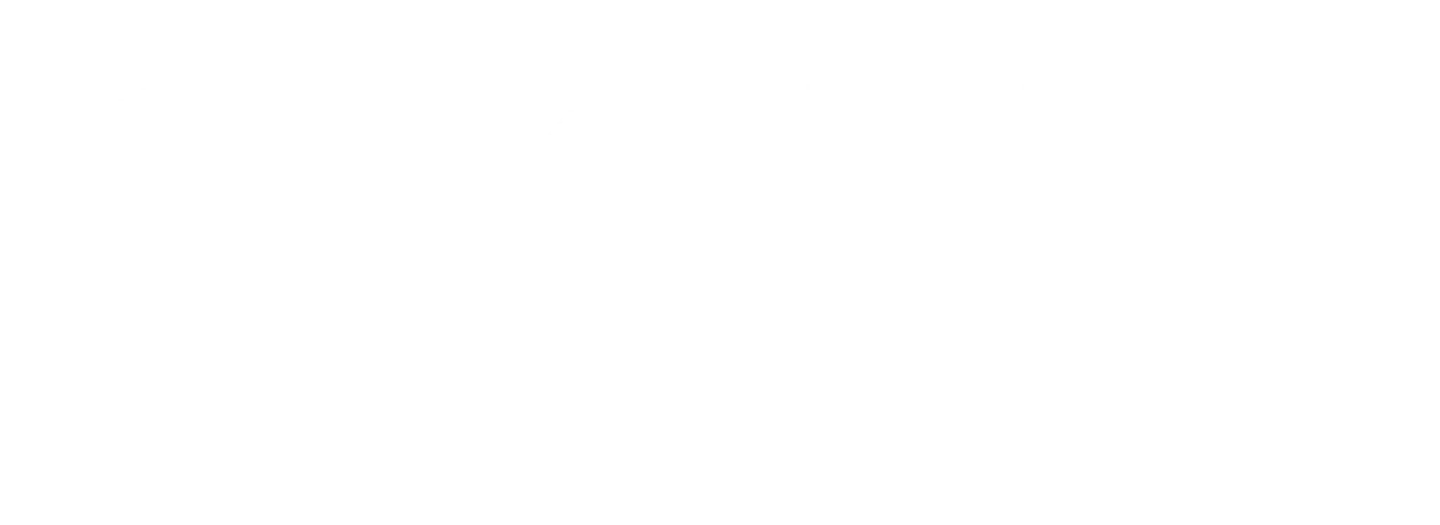 OLEXO GROUP LOGO WHITE